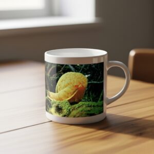 Elegance & Nature Mug Set